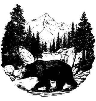 Obrázek 2 produktu Dámské tričko Černobílý Medvěd