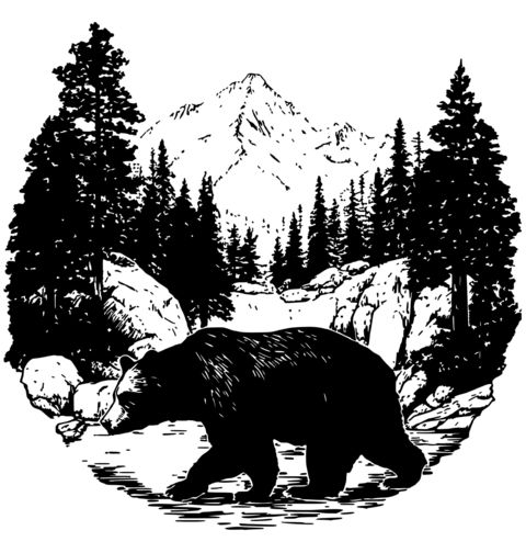 Obrázek produktu Dámské tričko Černobílý Medvěd