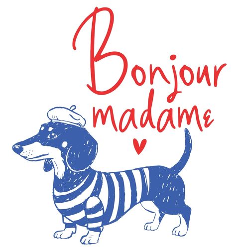 Obrázek produktu Dětské tričko Francouzský Jezevčík Bonjour madame