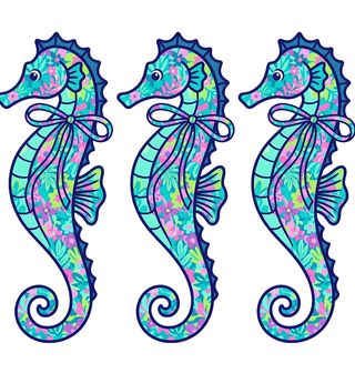 Obrázek 2 produktu Dětské tričko Barevný Mořský Koník