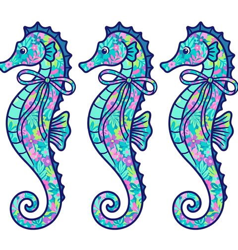 Obrázek produktu Dětské tričko Barevný Mořský Koník