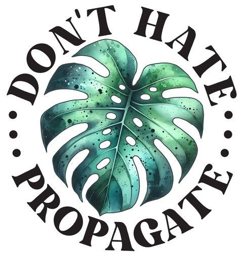 Obrázek produktu Dámské tričko Don’t Hate Monstera