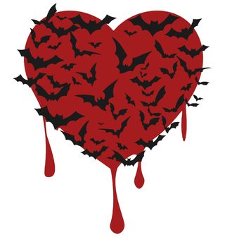 Obrázek 2 produktu Dětské tričko Srdce s Netopýry