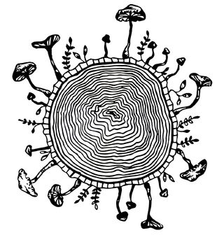 Obrázek 2 produktu Dámské tričko Letokruhy Stromu s Houbami