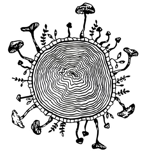 Obrázek produktu Dámské tričko Letokruhy Stromu s Houbami