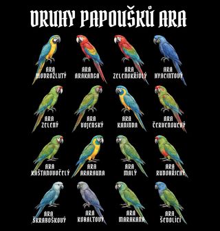 Obrázek 2 produktu Dámské tričko Druhy papoušků Ara
