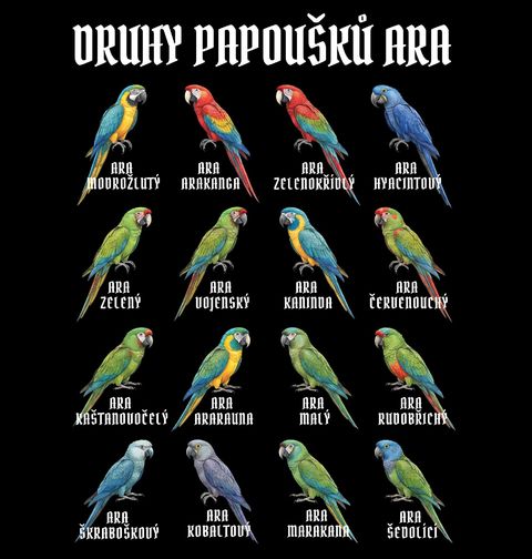 Obrázek produktu Dámské tričko Druhy papoušků Ara