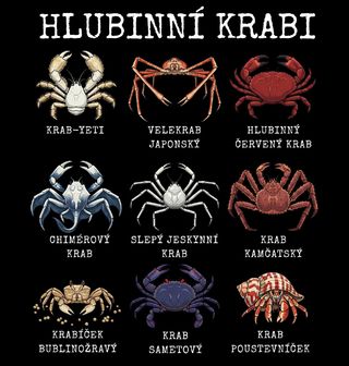 Obrázek 2 produktu Pánská mikina Druhy Hlubinných Krabů
