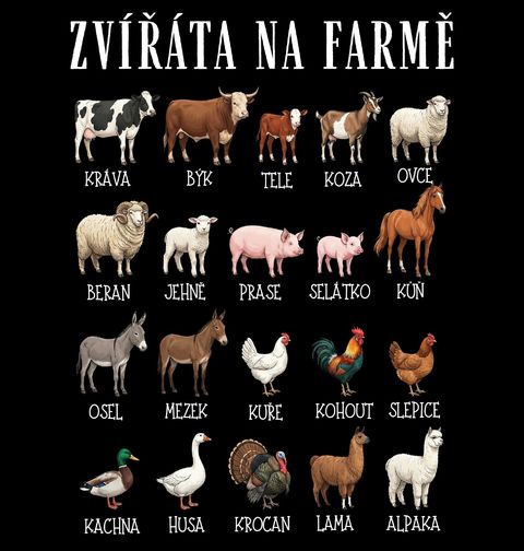 Obrázek produktu Pánská mikina Zvířata na Farmě