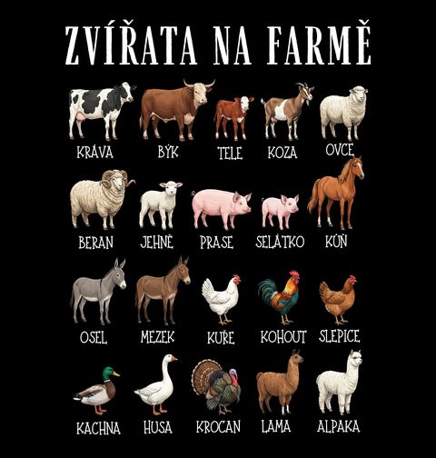 Obrázek produktu Pánské tričko Zvířata na Farmě