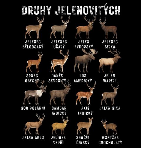 Obrázek produktu Pánská mikina Druhy Jelenovitých