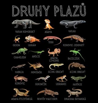 Obrázek 2 produktu Dětské tričko Druhy Plazů