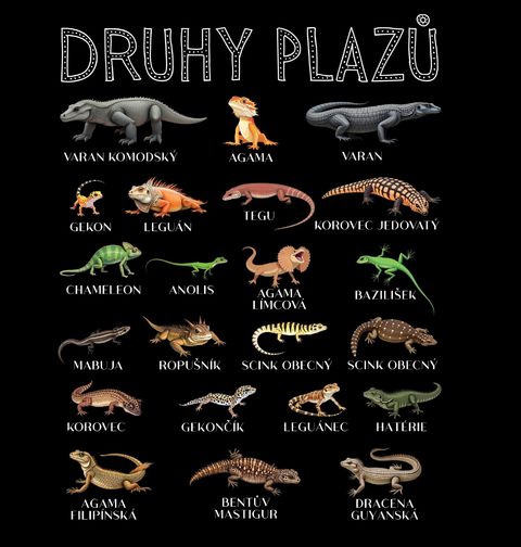Obrázek produktu Pánská mikina Druhy Plazů