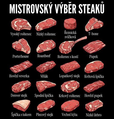 Obrázek produktu Dětské tričko Mistrovský Výběr Steaků