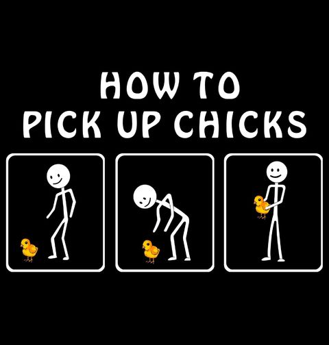 Obrázek produktu Pánské tričko Jak sbalit slípky How to pick up chicks