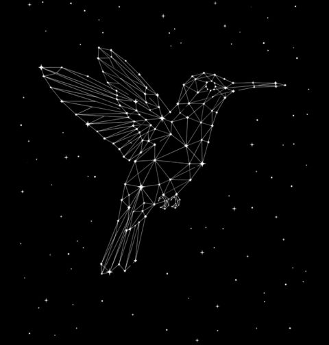 Obrázek produktu Pánské tričko Souhvězdí Kolibříka