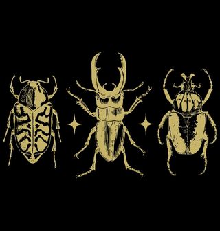 Obrázek 2 produktu Pánská mikina Zlatí Brouci