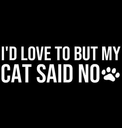 Obrázek produktu Dámské tričko Rád bych, ale moje kočka řekla ne