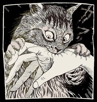 Obrázek 2 produktu Pánská mikina Kočičí Útok