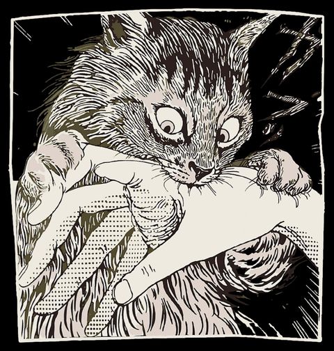 Obrázek produktu Pánská mikina Kočičí Útok