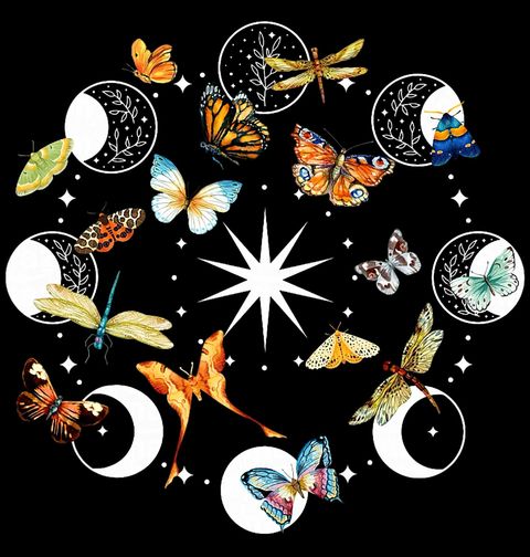 Obrázek produktu Pánské tričko Fáze Měsíce mezi Motýly