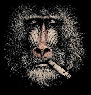 Obrázek 2 produktu Pánské tričko Paviána Mandril rýholící s Cigaretou