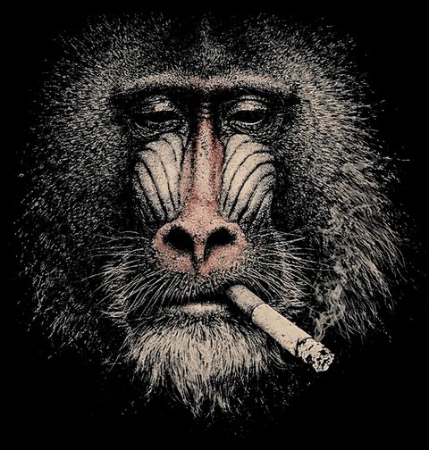 Obrázek produktu Pánské tričko Paviána Mandril rýholící s Cigaretou