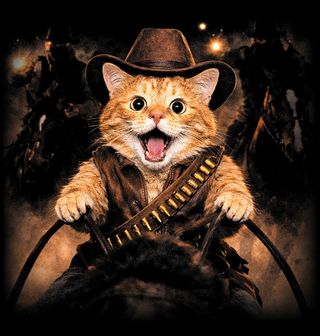 Obrázek 2 produktu Pánská mikina Kovbojská Kočka na Útěku