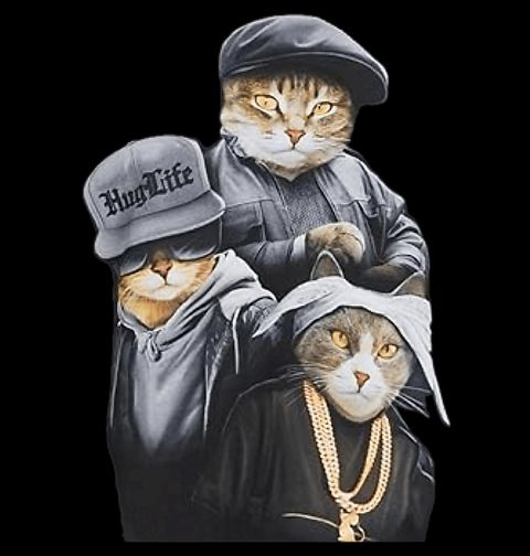 Obrázek produktu Dětské tričko Kočičí Gangsteři Hug Life