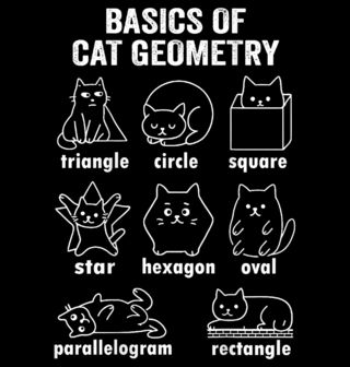 Obrázek 2 produktu Dámské tričko Základy Kočičí Geometrie