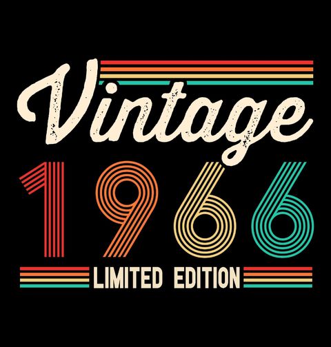 Obrázek produktu Pánská mikina Vintage 1966 Limited Edition