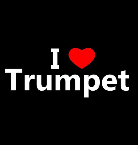 Obrázek produktu Pánské tričko Miluji Trubku I Love Trumpet