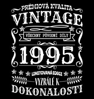 Obrázek 2 produktu Dámské tričko Ročník 1995 Prémiová kvalita