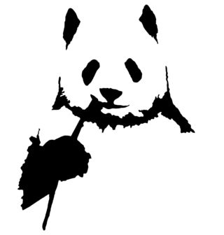 Obrázek 2 produktu Dětské tričko Panda jí Bambus