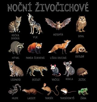 Obrázek 2 produktu Dámské tričko Druhy Nočních Živočichů