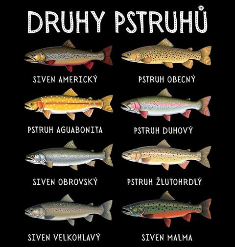 Obrázek produktu Pánské tričko Druhy Pstruhů a Sivenů