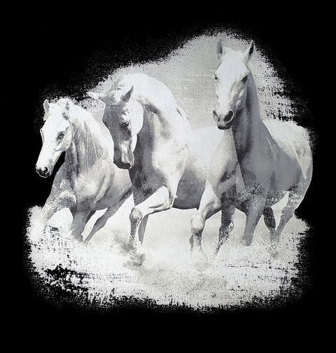 Obrázek produktu Dámské tričko Bílé koně