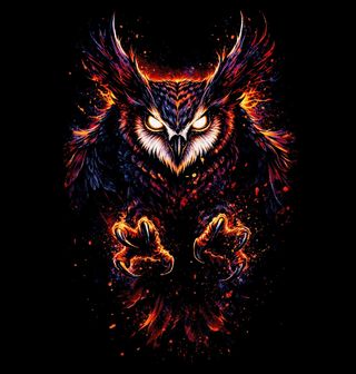 Obrázek 2 produktu Dámské tričko Magický Výr Velký