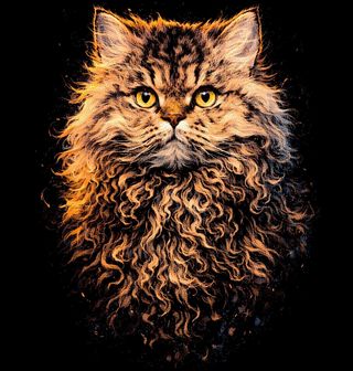 Obrázek 2 produktu Dětské tričko Kudrnatá Kočka Selkirk Rex