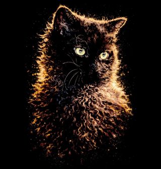 Obrázek 2 produktu Dámské tričko Černá Kudrnatá Kočka Selkirk Rex