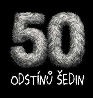 Obrázek 1 produktu Pánské tričko 50 odstínů šedin Padesátiny