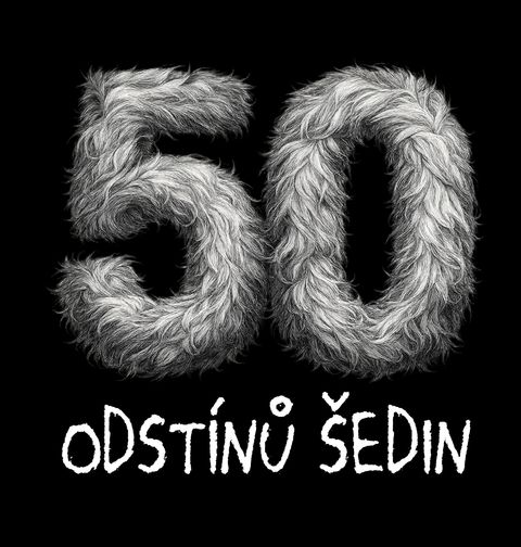 Obrázek produktu Pánské tričko 50 odstínů šedin Padesátiny