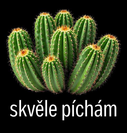 Obrázek produktu Dámské tričko Kaktus Skvěle píchám
