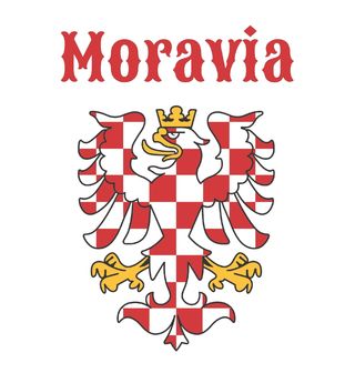 Obrázek 1 produktu Dětské tričko Moravská Orlice Moravia