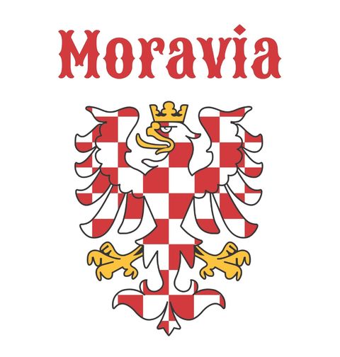 Obrázek produktu Dětské tričko Moravská Orlice Moravia