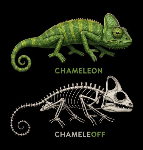 Obrázek produktu Dětské tričko Chameleon ON / OFF