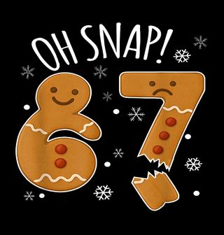 Obrázek 2 produktu Pánské tričko Vánoční Ulomený Perníček 67 Six Seven Oh Snap!