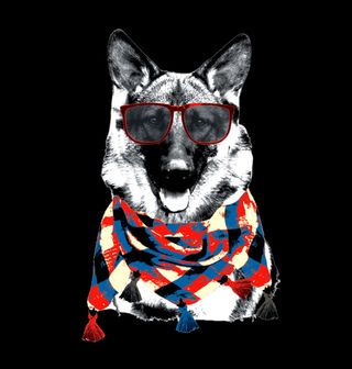 Obrázek 2 produktu Dětské tričko Cool Hipster Pes Ovčák