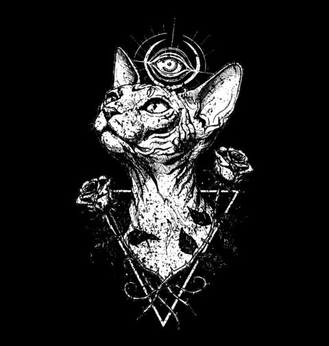 Obrázek produktu Pánské tričko Mystická Kočka Sphynx s Třetím Okem