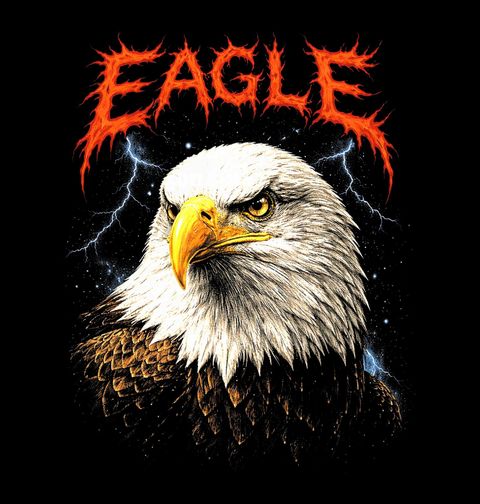 Obrázek produktu Pánská mikina Orel bělohlavý Bald Eagle